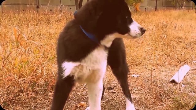 Прогулка (02.10.2014)