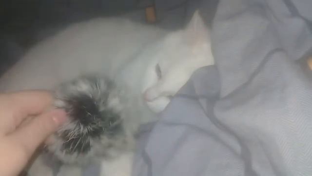 Показываю вещи.