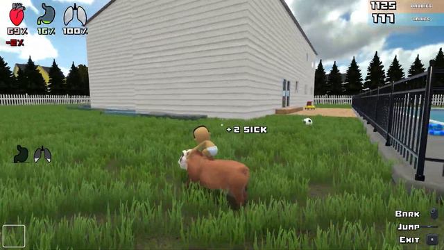 5fe144f789ed20f59817485912e7c082