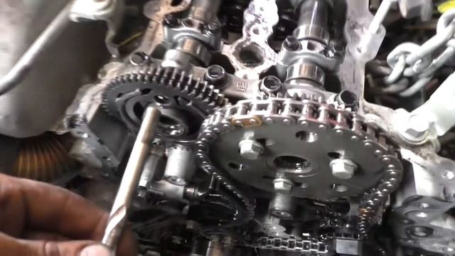 Грибы: вкус и аромат леса