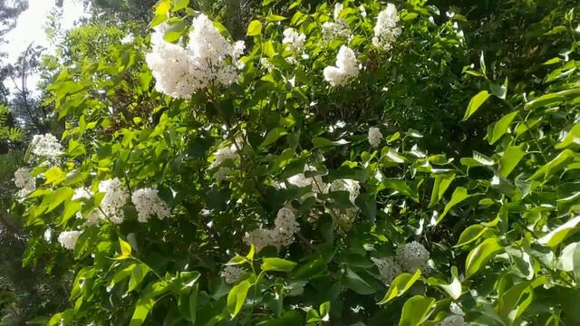 Неужели желание покекситься важнее собственного здоровья.Снимок бедра Лены Хеппи.Ужас.