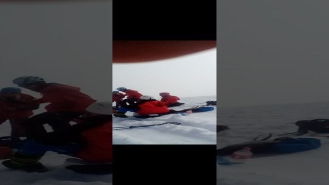 B77d39e7dd23deb7811993a9ac1e67cb