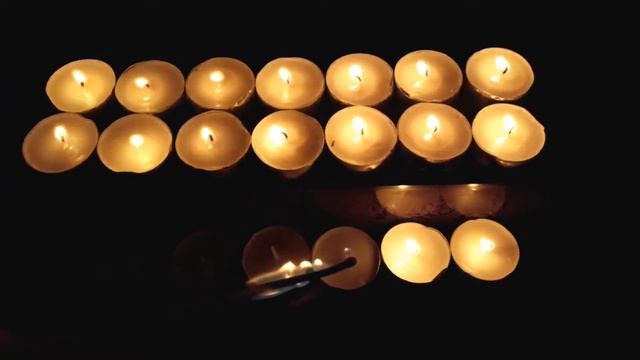 15. AUGUST - The Rose And The Lion