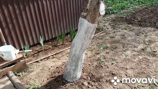 РАССКАЗЫВАЮ КУДА Я УЕЗЖАЮ, КУПИЛА БИЛЕТЫ /ОБЗОР ПОКУПКИ НИЖНЕГО БЕЛЬЯ /УРАБОТАЛИСЬ С КРИСТИНОЙ