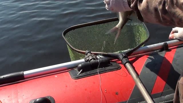 4c9eec79f94a2506ae0988b7f8410bdd