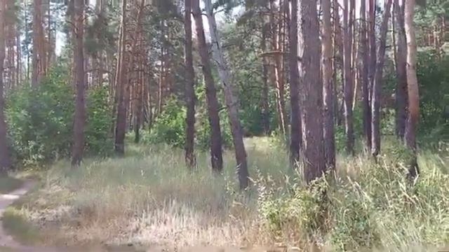 4ef0d1c04df73016930fc3872ef2e7e8