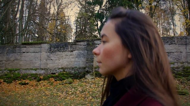 Morris Albert. Feelings. Cover. Performed By Hrust.