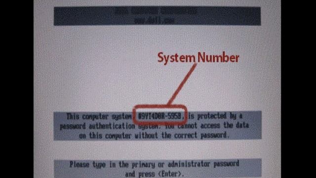 Quick And Easy! System And BIOS Password Removal!