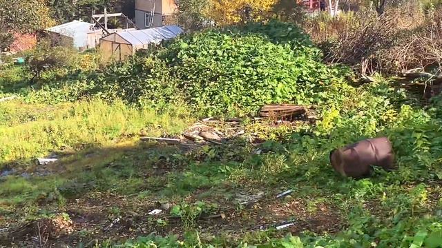 г. Южно-Сахалинск, с. Ключи,  СНТ Геофизик, уч. 6 сот