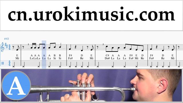 C84a8b351c5bc307700d0659f1cdd161