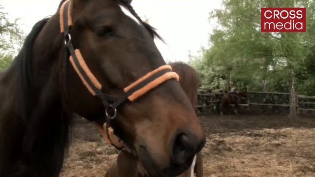 9fbd406bd930828fbfb1b1f29074047e