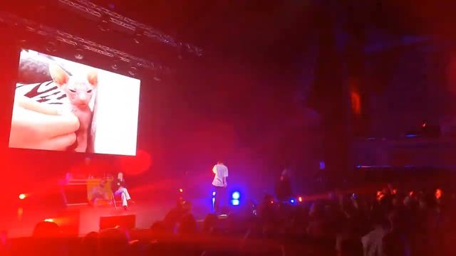 ЮГ 404, ФРИК ПАТИ | Питер (28.10.23, @Гигант Холл)