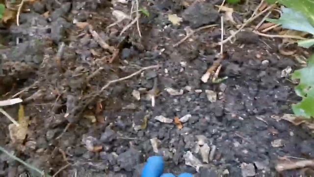 Поиск с новым мд в Лазаревке.