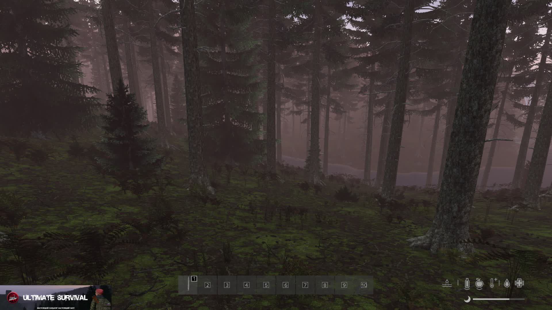 Прямая трансляция с сервера Dayz ULTIMATE SURVIVAL ВЫЖИТЬ ЛЮБОЙ ЦЕНОЙ