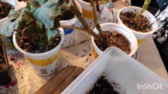 061f9476070d95ea33e6243271a38716