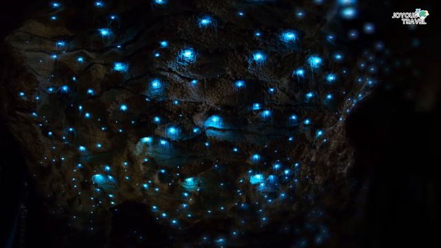 Amazing Places To Visit In New Zealand - Travel Video