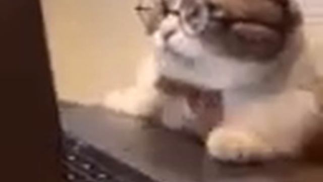 Вопрос ответ(Сюда писать вопросы.Идея взята у Бантик