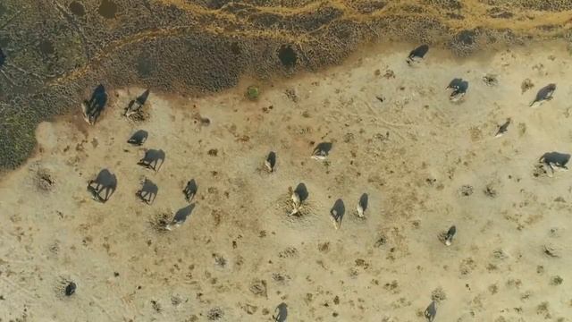 2a55a5a0c24ebf111550ca8f5726729d