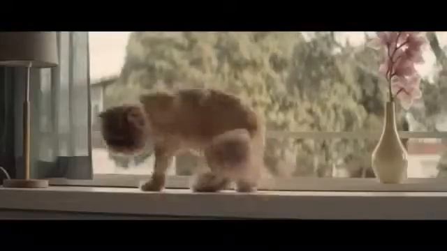 Дорожная Мастерская