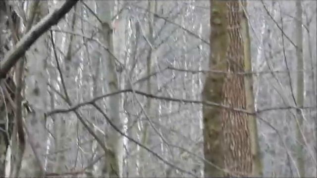 Прикольно кормить птиц с руки.