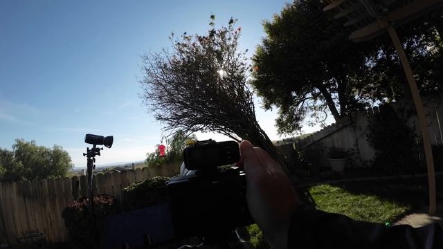 Is The Sony A7C With Off Camera Flash Good  For Bird Shots?