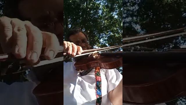 Otra Versión De La Marcha Fúnebre, Digo, Marcha Nupcial Octavada.