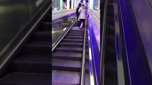 Central Mid-levels Escalator Links [12,Feb, 2017]