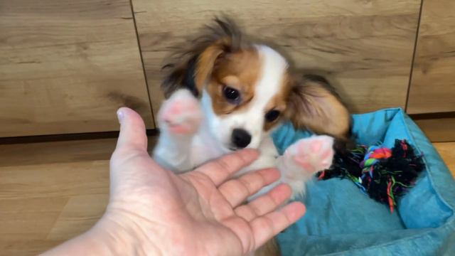 29 ноября 2021 г.