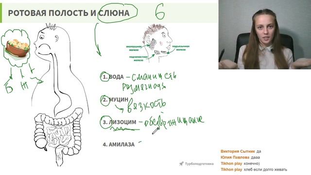 A013dc66a467faf06fb6a0d24651911e