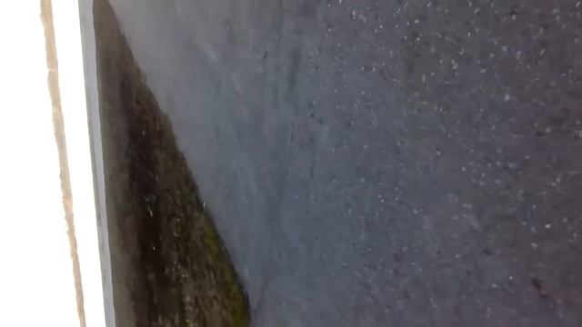 VLOG-катаемся на велосипедах по Волге