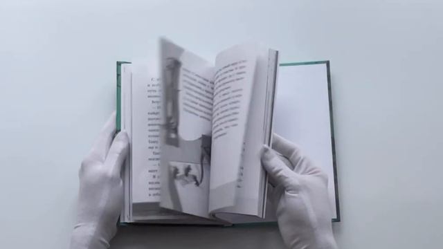 Тайный дневник кота Бориса