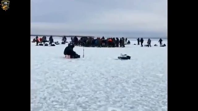 410230a43af5a890660a3517a99fd9a4