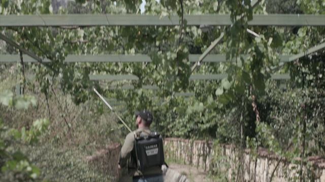 Опрыскиватель ручной Caiman Telescopic 12M