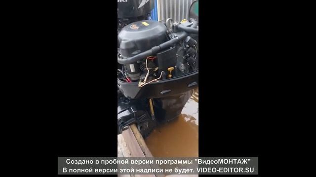 The Enigma Of The Alto