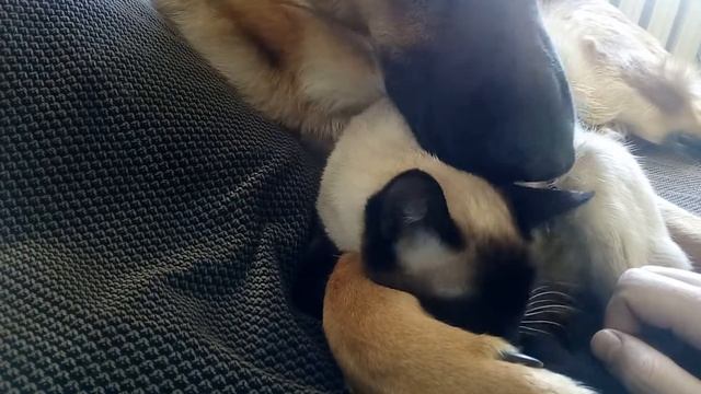 894e2d546c187b9e8855516b865776e1