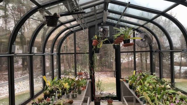 Florain Green House Setup.Visiting Orchid Grower In Pa,when Orchid Hobby Has A Pro-approach.