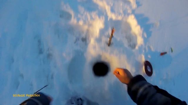 За ХИЩНИКОМ ! Продолжаю бороться со щуками | Pike