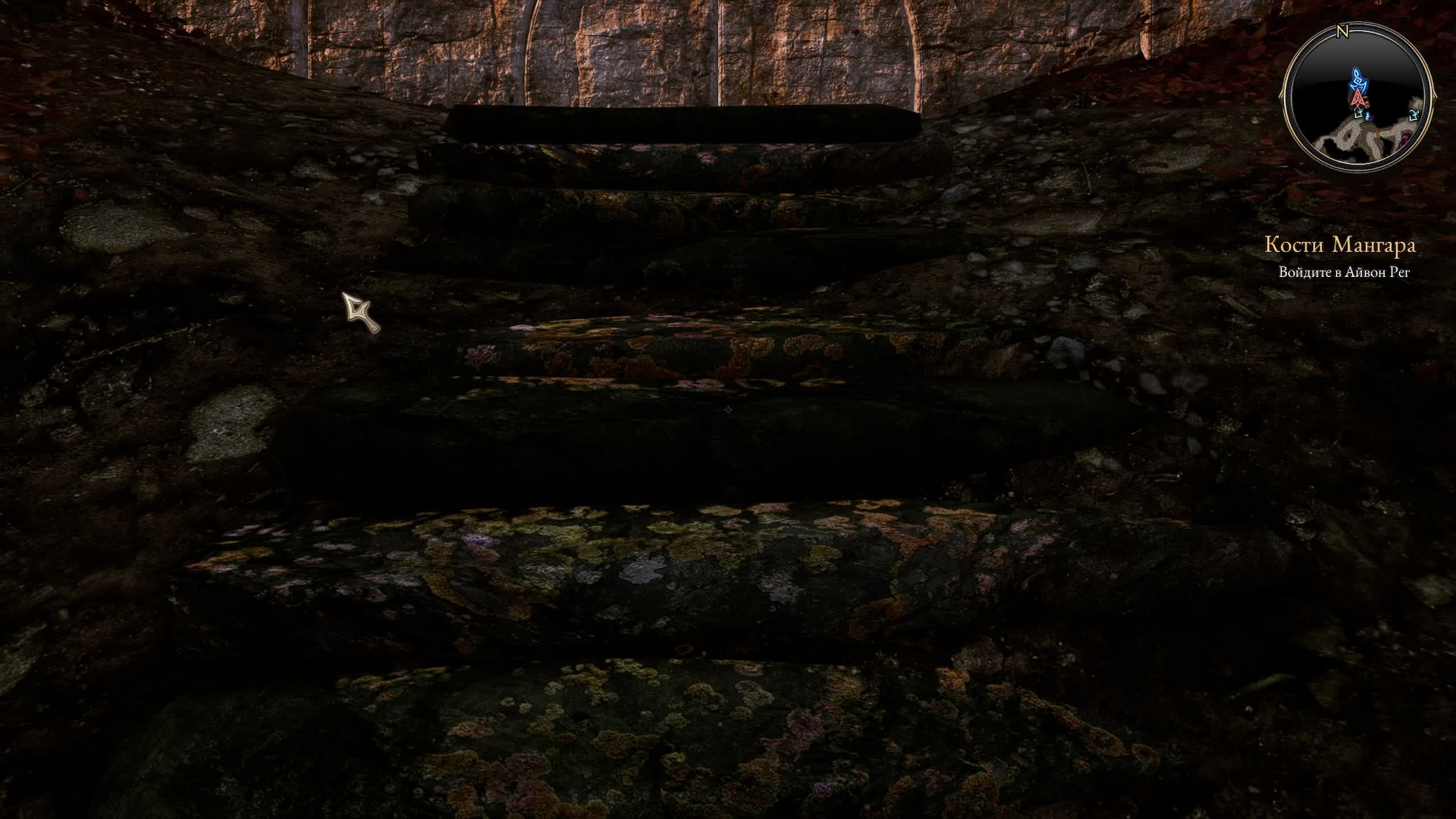 The Bards Tale IV - Directors Cut