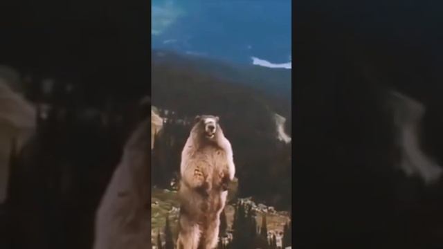 Shorts - А я Прошу Тебя - Подписаться на канал ����(нэнси)