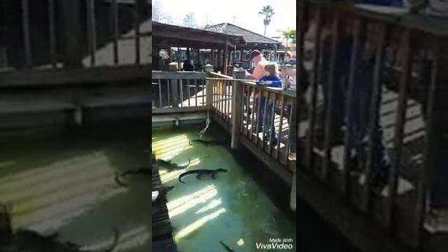 9d102e52731ad520689dae7a18b7f052