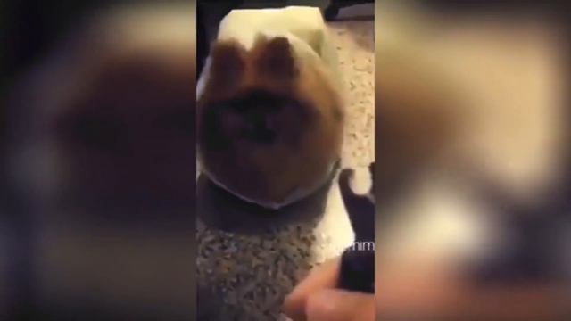 25329ad27e38c6615b7f49948b1cfcf7