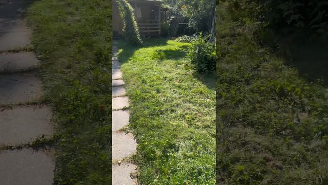 Домик Терри🍁🐾