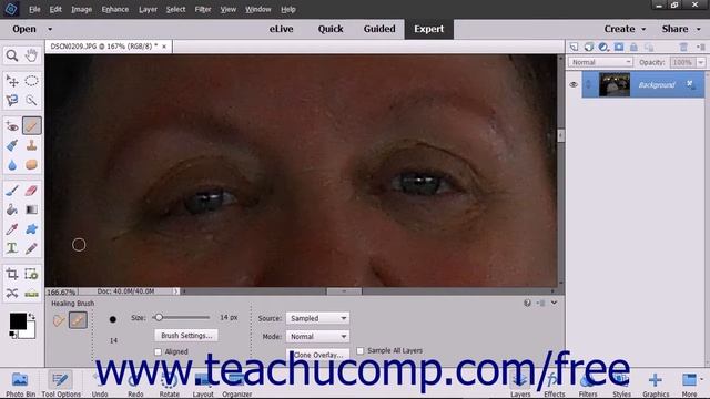 Photoshop Elements 15 Tutorial The Healing Brush Tool Adobe Training