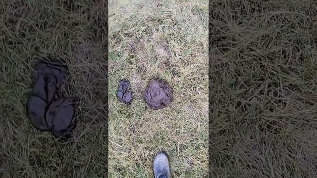 2a10e3179e3ee156adca16b0d713313a