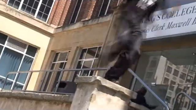 Трюки в паркуре (Running Precision)