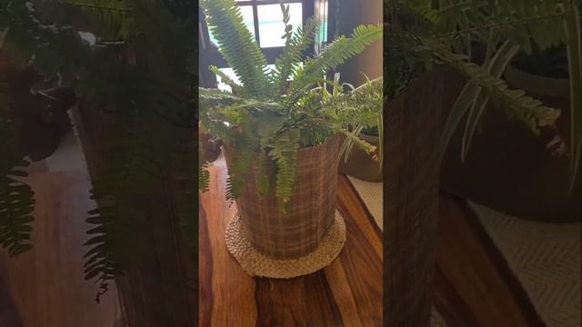 Diy Planter | Old Mats To Planter | Sustainable Diy | Diy Ideas | Sustainable Home Decor