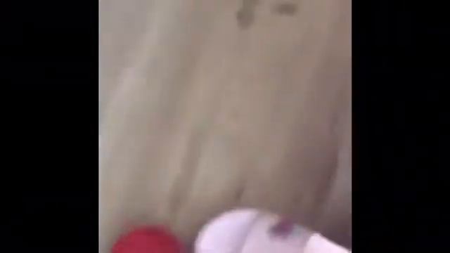 Утро моей собаки/morning My Dog