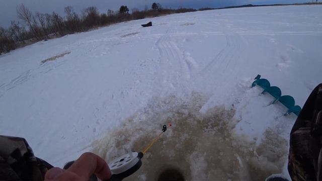 2abf301771d99b30fa7ff29e269c9e5c