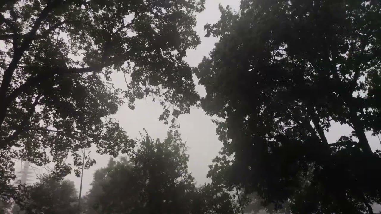 F8936a0721dcdb1dc4df4e33ab4044cd