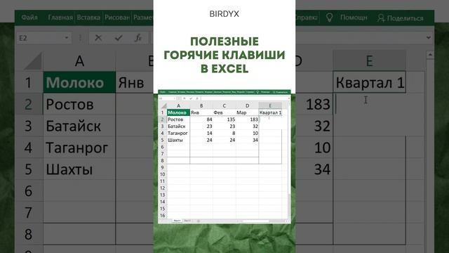Birdyx. Excel и Google таблицы для бизнеса